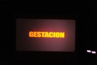 La proiezione del film in concorso "Gestacion", di Esteban Ramírez (Costa Rica)
